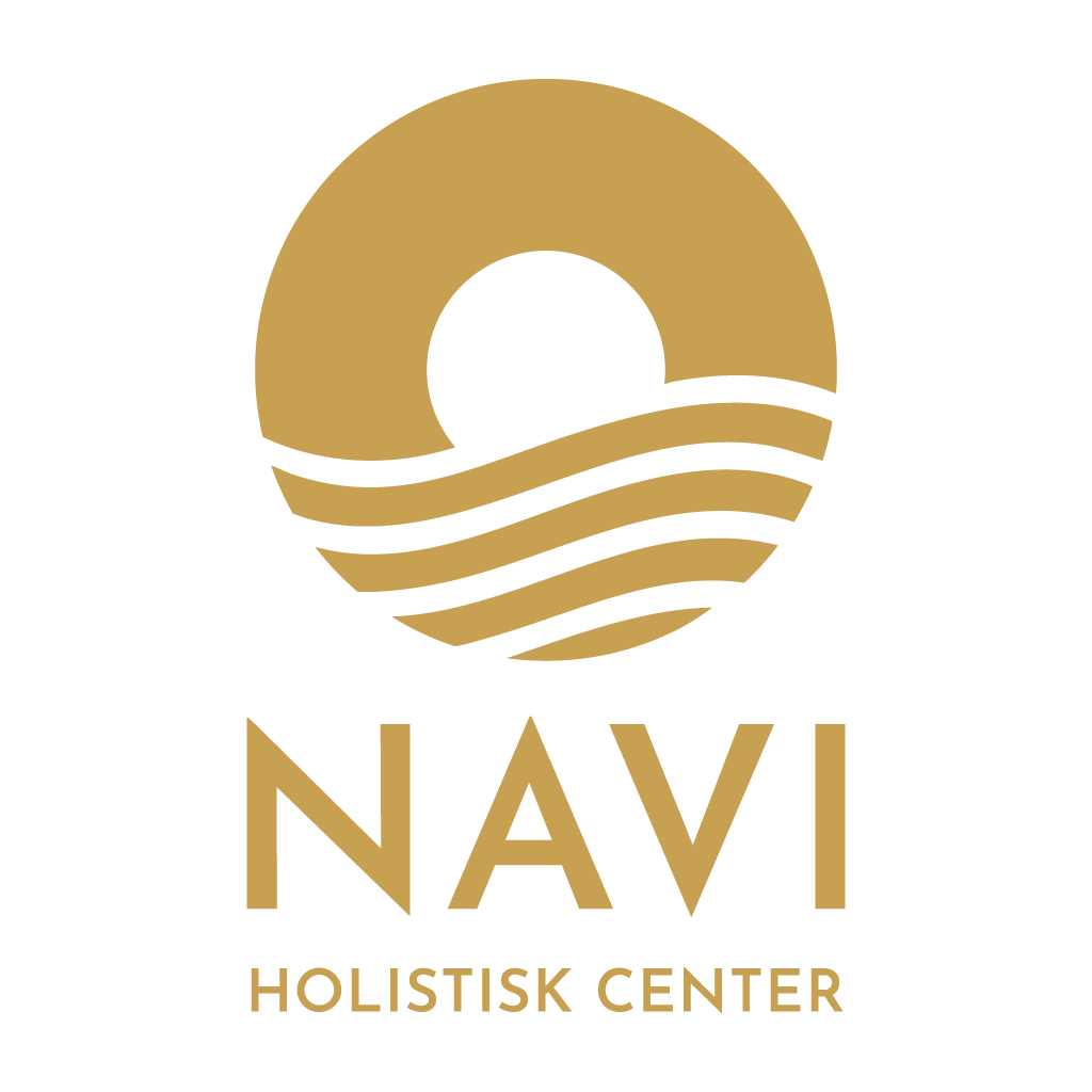 NAVI Holisitsk Center
